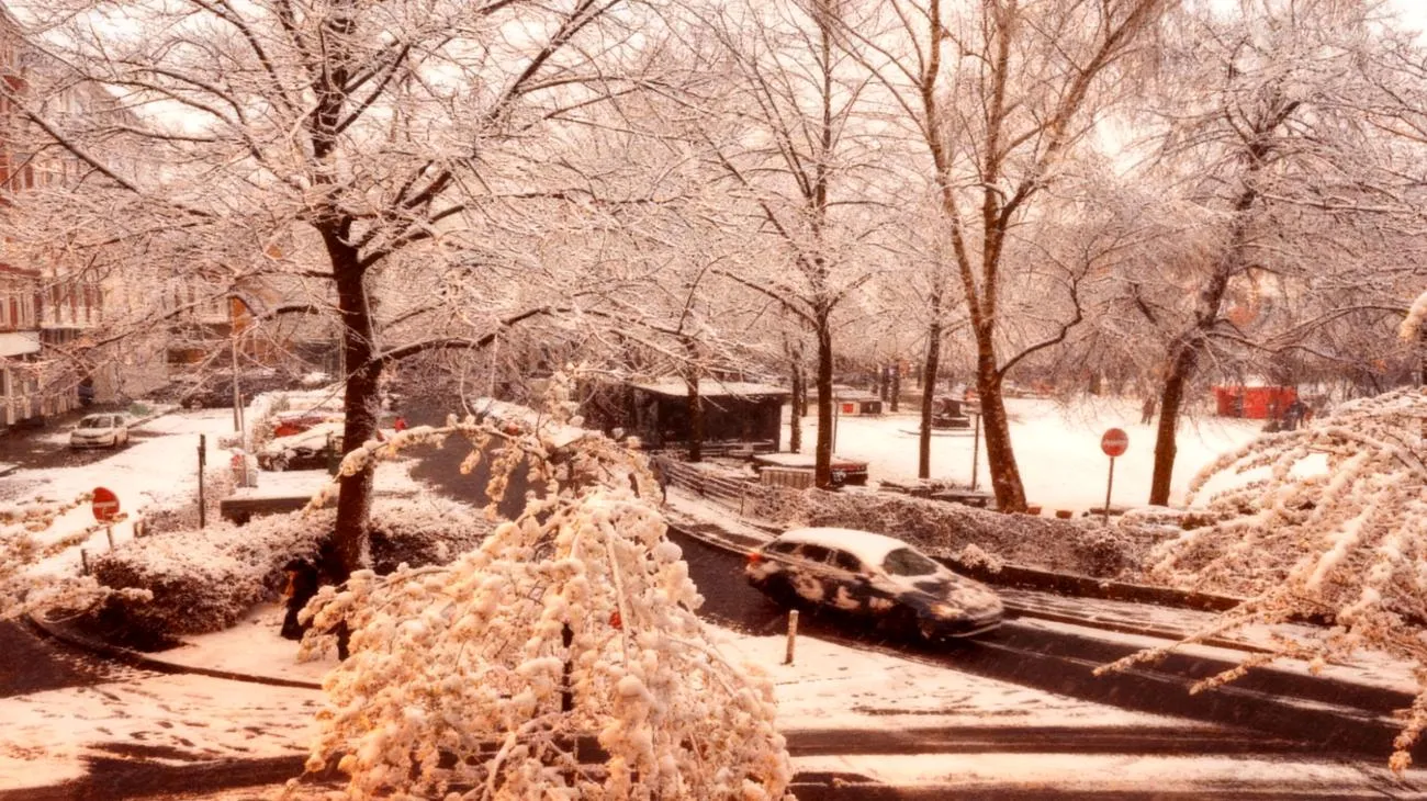 Wintereinbruch Deutschland: 10.000 Menschen suchten in vier Stunden nach diesem einen Wort 2025-11-07T11:36:47.734Z"